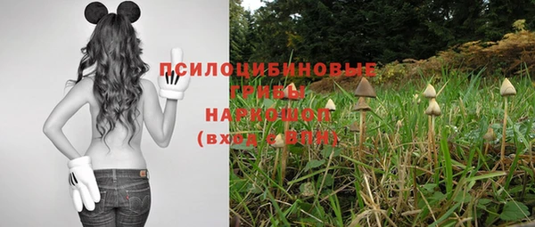 герыч Ладушкин