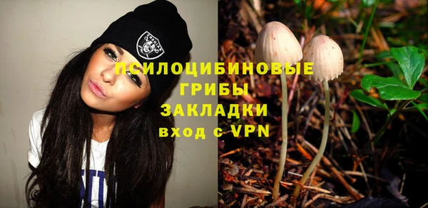 мяу мяу мука Лабытнанги