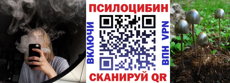 Псилоцибиновые грибы мухоморы  Купить закладки  Саров 